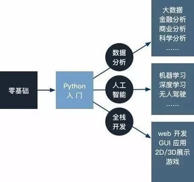 當(dāng)你只有一門(mén)語(yǔ)言 Python驅(qū)動(dòng)人工智能基礎(chǔ)軟件開(kāi)發(fā)的深度路徑
